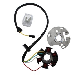 Stator Piaggio Aprilia RS450 11-13 for APRILIA RS 50 06-10 and other model Stators MAGNETI MARELLI