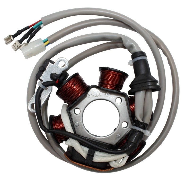 Statore Zip 50 -00 Nrg Tutti-03,ET2 50 per PIAGGIO Liberty 50 2T 97-02 e altri modelli Estatores MAGNETI MARELLI