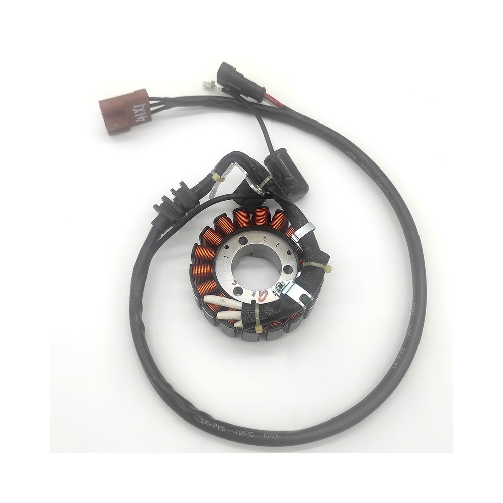 Statore Piaggio Beverly 25007-09 -