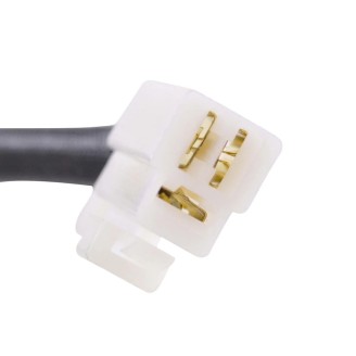 Statore Triumphtiger 955 01-06 -