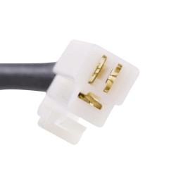 Statore Triumphtiger 955 01-06 -