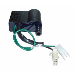 Cdi Coil Malaguti F10-F12-F 15, Beta Chrono-Quadra-Tempo for MALAGUTI F12 Phantom 50 AC/LC 94-00 and other model Ignition Coils DUCATI ENERGIA