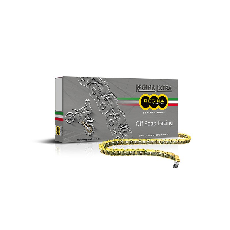 Regina Chain 135GPXV120 Links 520 Pitch Chains REGINA
