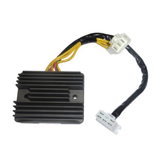 Regolatore Sun Silverwing 60002-08, Silverwing 400 06-08 -
