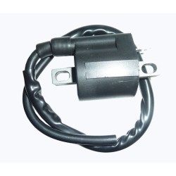 Bobina At Yamaha Aerox 50 per BENELLI Velvet 125/150 99-03