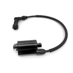 Hv Coil Kymco Grand Dink 250INK 250 01-04 Ignition Coils OKYAMI