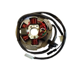 Statore Malaguti F10/F12/F1550 2T per MALAGUTI 50 F10 92-03 e altri modelli