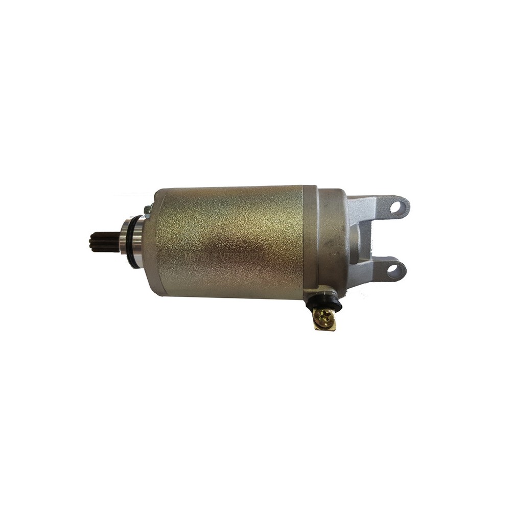 Motorino Avv.Suzuki BURGMAN40098-06 -