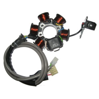 Stator Kokusan Free 50 Poste for PIAGGIO Free 50 Poste 00-01 Stators KOKUSAN