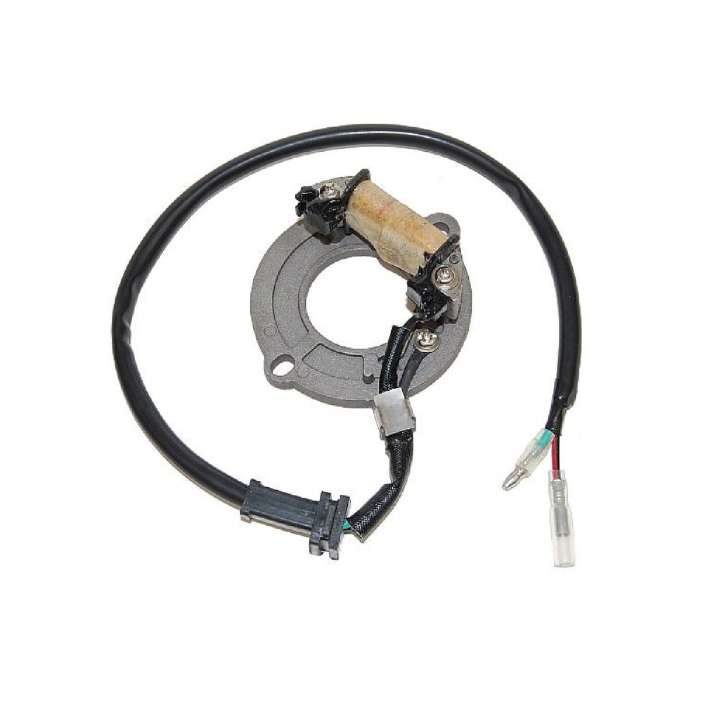 Statore Honda Cr 80R 85-02- CR85R 03-04 - ESC1631