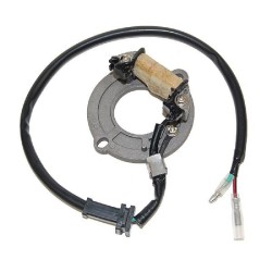 Statore Honda Cr 80R 85-02- CR85R 03-04 - ESC1631