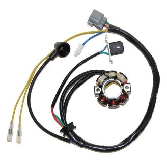 Statoren | Der Stator ist der Teil der Lichtmaschine, der den Strom erzeugt, um die Batterie zu laden und die elektrische Anlage von Motorrad oder Roller zu versorgen. Ist er defekt oder sind die Spulen durchgebrannt, lädt die Batterie nicht mehr, es können Warnleuchten aufleuchten oder Verbraucher ohne Strom bleiben.In dieser Kategorie finden Sie Statoren von Magneti Marelli, Electrosport, Tourmax, RMS, RM Stator, Okyami, Rms Classic und WAI für Roller wie Sym Symphony, Vespa PK und Ape, sowie für Motorräder wie Suzuki DR und GSX-R, Yamaha YZF-R1 und YZ 250 F, Honda CTX700 und VT Shadow, Triumph Street Triple. Wählen Sie das passende Teil nach Modell und Baujahr des Fahrzeugs oder nach der Originalnummer auf dem zu ersetzenden Teil.