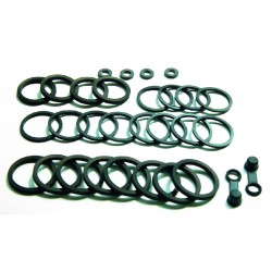 Caliper Sealing Kit Fr.Kawazx 900 96-01 for KAWASAKI ZX-6R Ninja 600 00-01 and other model Rebuild Kits (Overhaul Kits) TOURMAX