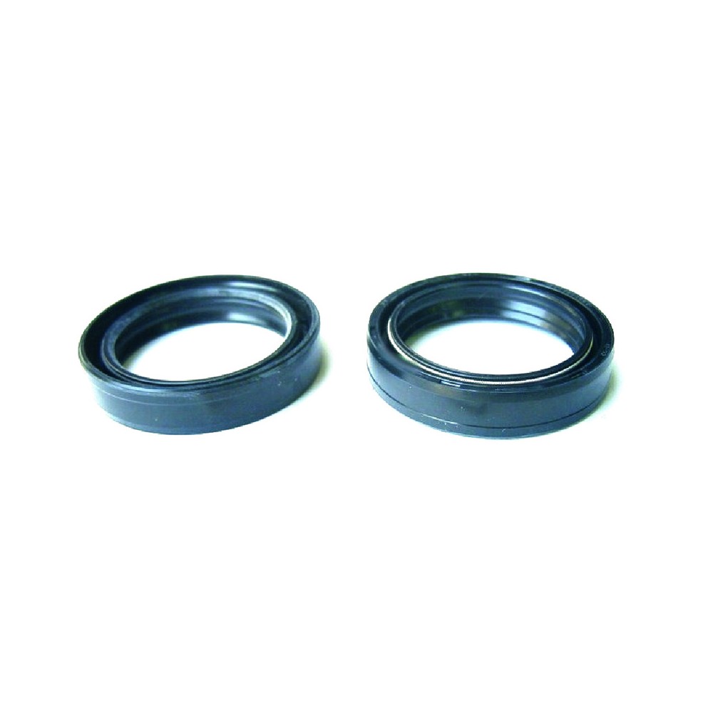 Kit Paraoli Forcelle 2 PEZZI41X54X11 Doppia Molla -