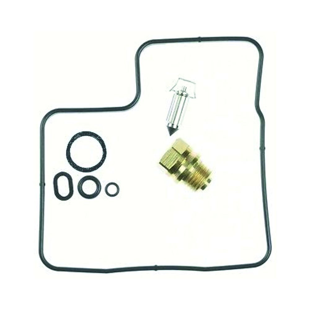 Kit Rev.Carburatore Honda VT600C Shadow 88-95 -