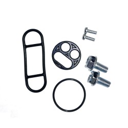 Kit Rev.Rubinetto Benzina Kawasaki Klx 300 02-03 -