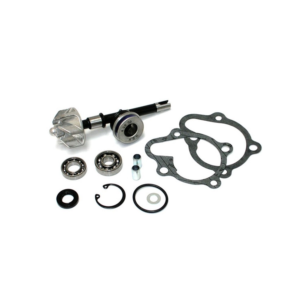 Kit Rev.Pompa Acqua Kymcodink/B&W 125/150 -