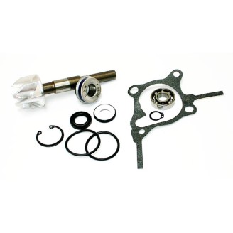 Kit Paraoli Forcelle 2 PEZZI33X46X11 Doppia Molla per HONDA SH 125/150 05-14 e altri modelli Überholungssets TOURMAX