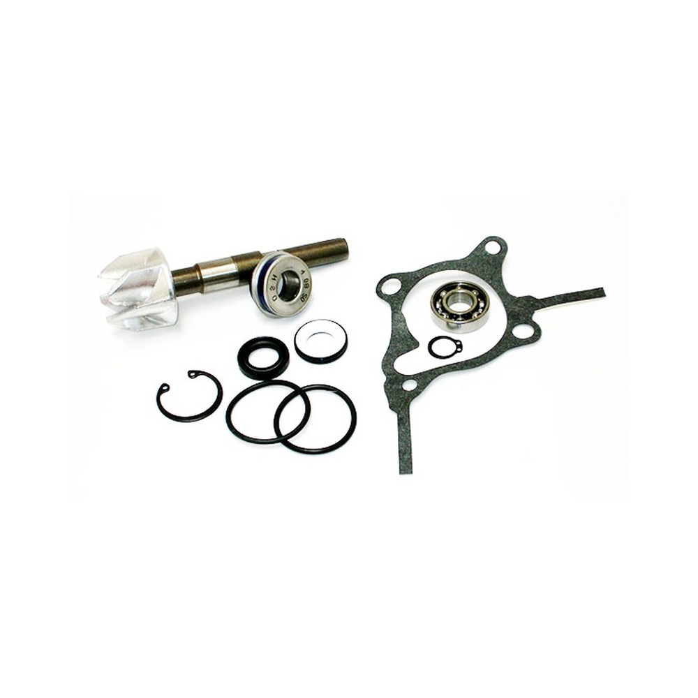 Kit Rev.Pompa Acqua Hondaforesight 250 Paraolio 28mm -