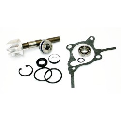 Kit Rev.Pompa Acqua Hondaforesight 250 Paraolio 28mm per HONDA Foresight 250 98-04 e altri modelli Überholungssets OKYAMI