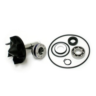 Kit Rev.Pompa Acqua Yamahat-Max 530/560 -