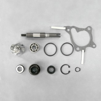 Kit Rev.Pompa Acqua Hondaforesight 250 Paraolio 30mm -