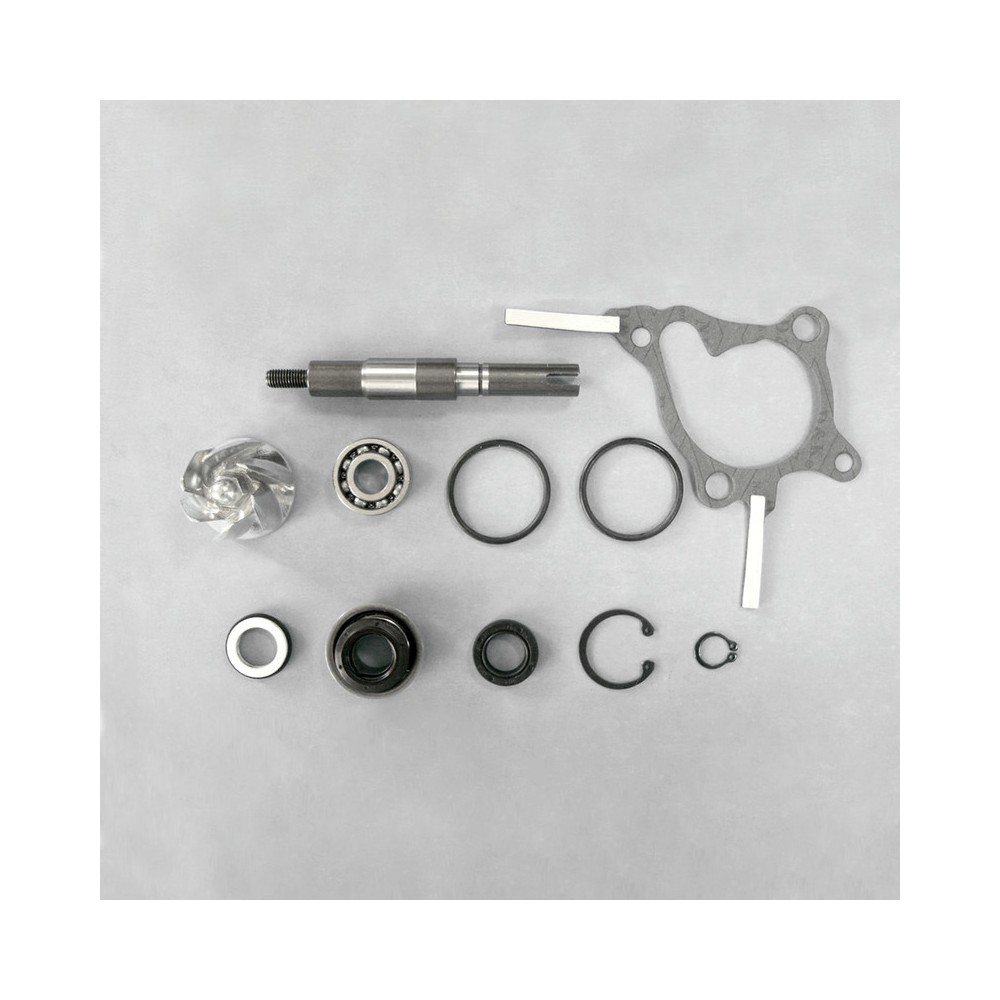 Kit Rev.Pompa Acqua Hondaforesight 250 Paraolio 30mm -