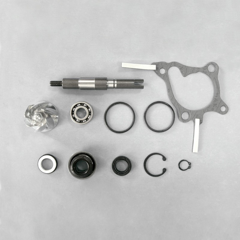 Water Pump Revision Kit Hondaforesight 250 for HONDA Foresight 250 98-04 and other model Rebuild Kits (Overhaul Kits) OKYAMI