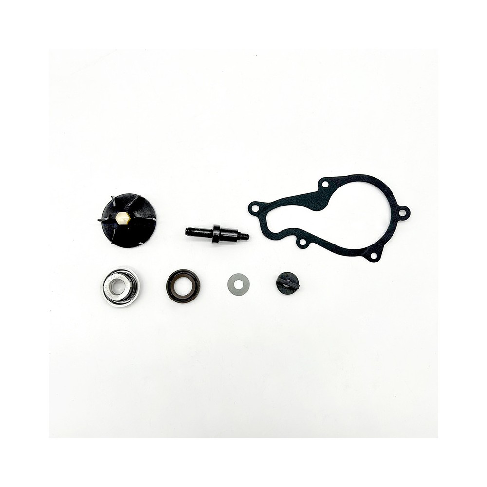 Kit Rev.Pompa Acqua Piaggiobeverly 350 11-20 -