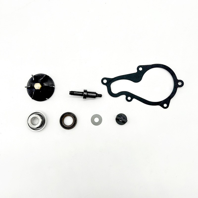 Kit Rev.Pompa Acqua Piaggiobeverly 350 11-20 per PIAGGIO Beverly 350 11-20 e altri modelli Kit de revisión OKYAMI