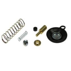 Diaframma Carburatore YAMAHAXT600Z 86 -