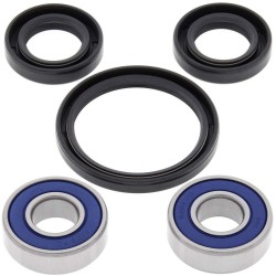 Kit Cuscinetti Ruota Suzuki AN250 Burgman 98-06- Dr 650 Rse - WY-25-1187