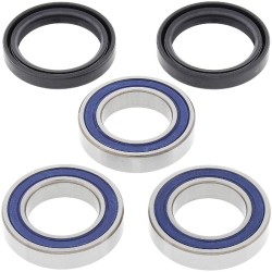 Kit Cuscinetti Ruota Yamaha YZ250/250F/450F- Kawa Kx 125/250 - WY-25-1406