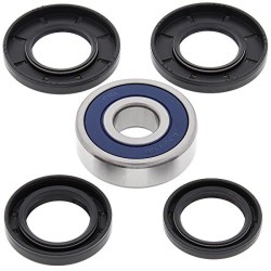 Kit Cuscinetti Ruota Honda SH150 09-11- Forza 250. Post. - WY-25-1643