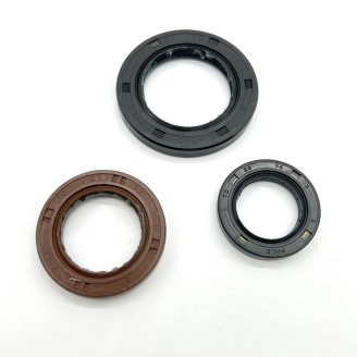 Paraoli Motore Kymco AGILITY300 19- - 14856
