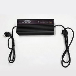 Caricabatteria Rapido 60V 10APRESA Quadra per SUPER SOCO CUx nd e altri modelli Super Soco SUPER SOCO