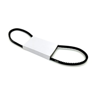 Cinghia Ciao Px Monomarciasenza Variatore -