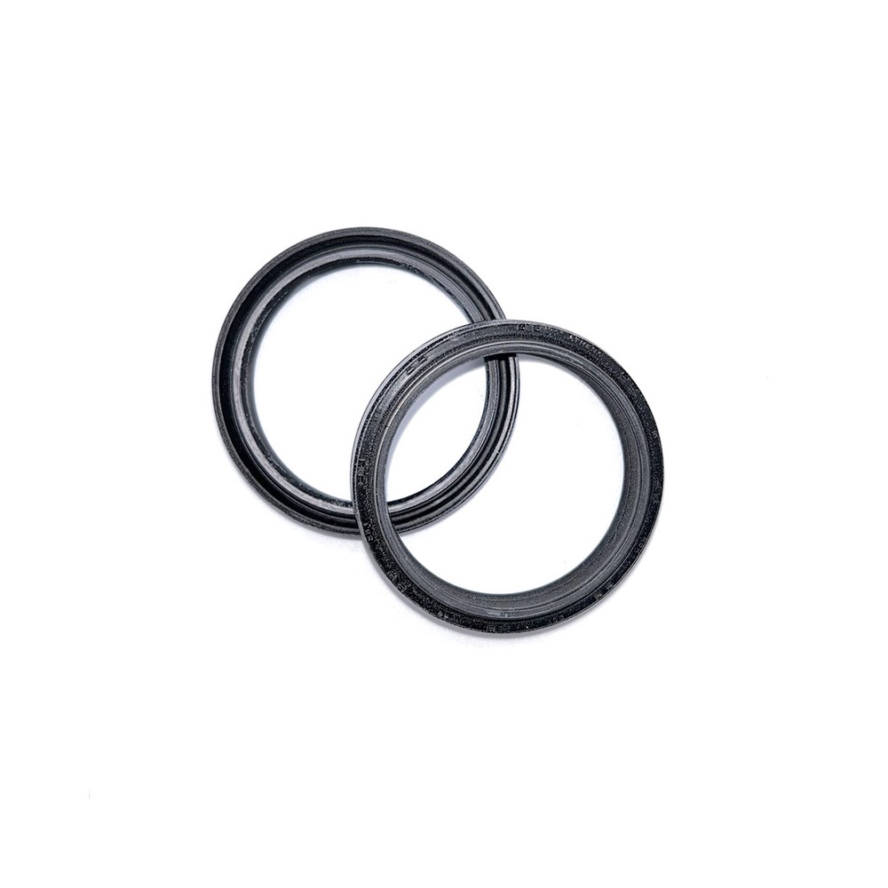 Serie Paraolio Forcella Hondacrf 450 R 09-14 - 111A120FK