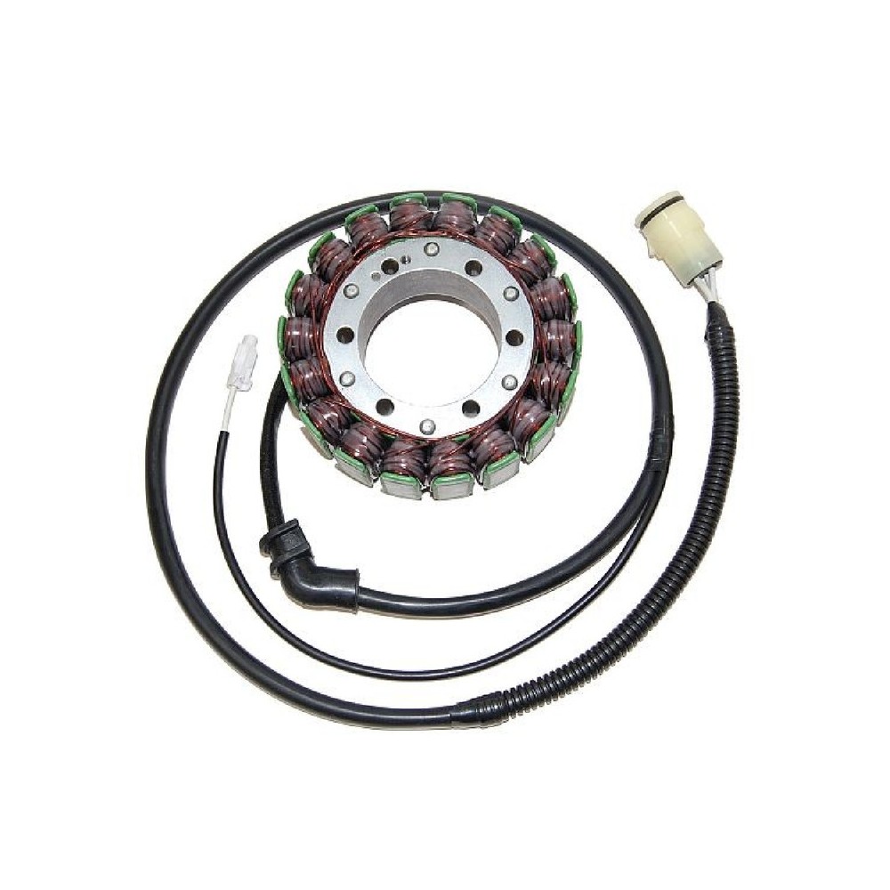 Statore Kawasaki Zx-12R 00-01NINJA per KAWASAKI ZX-12R Ninja 00-01 Statori ELECTROSPORT