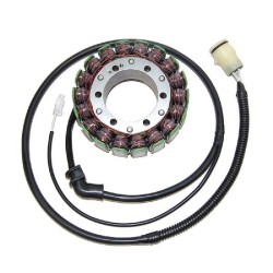 Stator Kawasaki Zx-12R 00-01NINJA for KAWASAKI ZX-12R Ninja 00-01 Stators ELECTROSPORT
