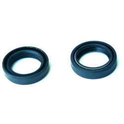 Kit Paraoli Forcelle 2 PEZZI35X48X11 Doppia Molla -