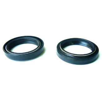 Kit Paraoli Forcelle 2 PEZZI41X53X8/10,5 Doppia Molla -