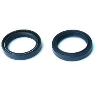 Kit Paraoli Forcelle 2 PEZZI43X55X9,5/10,5 Doppia Molla -