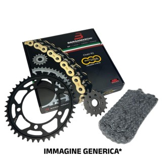 Kit HONDAXL350 Rf,Rg,Rh ND03 85-87 for HONDA Xl350 Rf nd and other model Kit Cat-Cor-Pign.STD KIT CCP REGINA JT