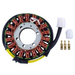 Statore Aprilia Caponord 100001-07 - RMS010-103230