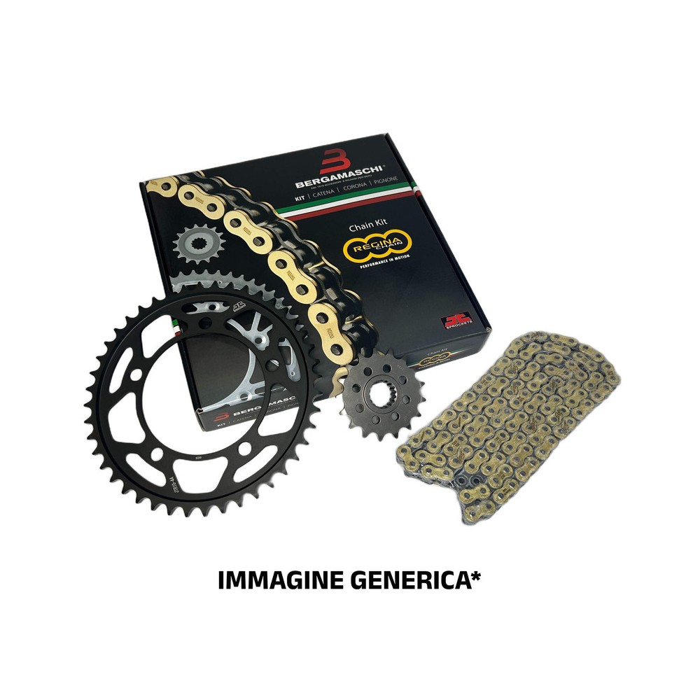 Kit BETA125 Rr Lc 4T Motard 11-20 for BETA motor 125 Rr Lc 4T Motard 11-20 Kit Cat-Cor-Pign.STD KIT CCP REGINA JT