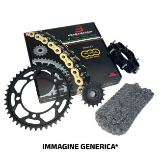 Dischi Friz.Completa FCS0720/2 per DUCATI Monster 800 11-14 e altri modelli Frizioni Moto Ferodo