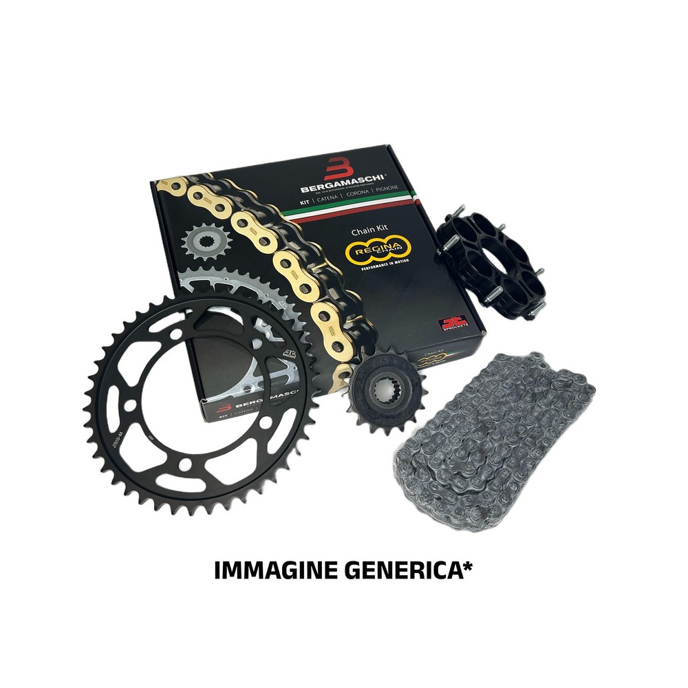 Kit DUCATI800 Monster S2R 05-07 for DUCATI 800 Monster S2R 05-07 Kit Cat-Cor-Pign.STD KIT CCP REGINA JT