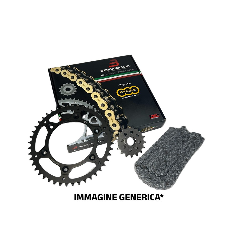 Kit KTM300 Exc Tpi Erzberg Eu.20-21 for KTM 300 Exc Tpi Erzberg Eu. 20-21 Kit Cat-Cor-Pign.STD KIT CCP REGINA JT