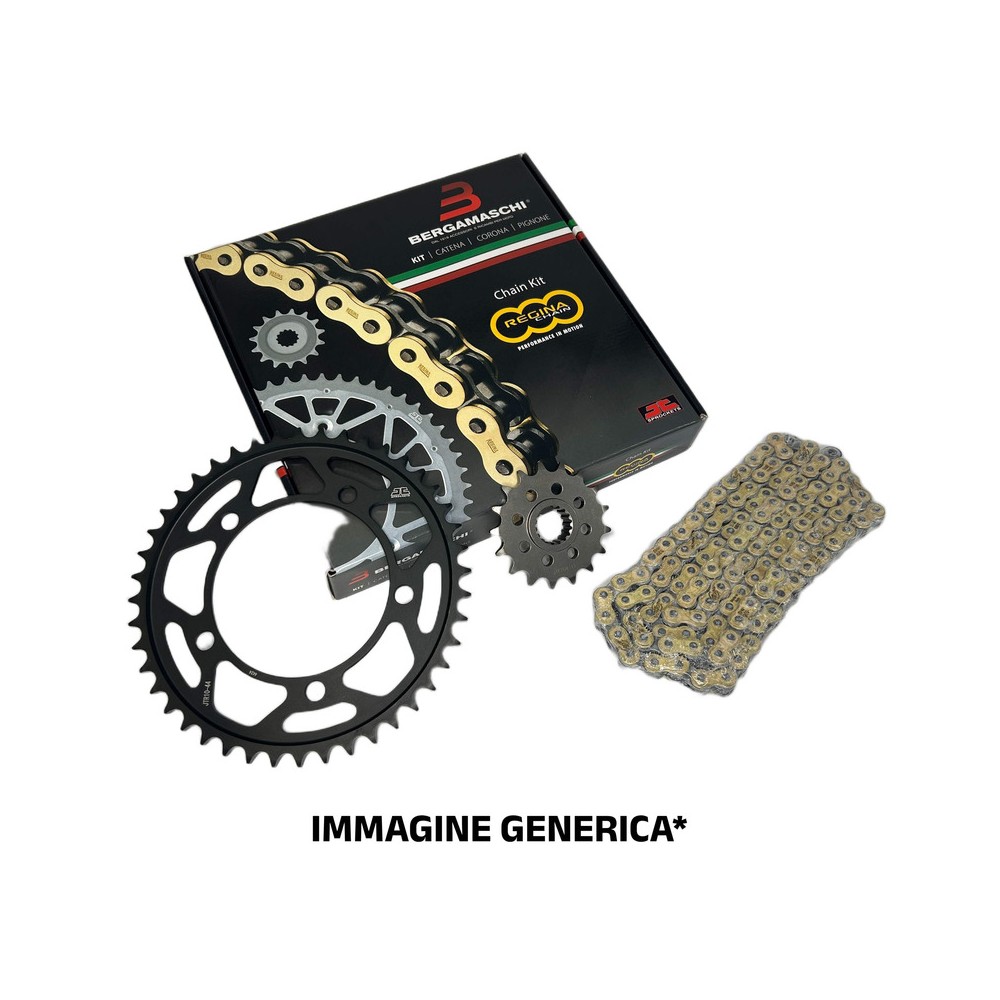 Kit YAMAHAYZ250 J,K,L 82-84 for YAMAHA Yz250 J nd and other model Kit Cat-Cor-Pign.STD KIT CCP REGINA JT